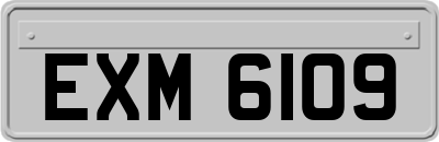 EXM6109