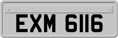 EXM6116