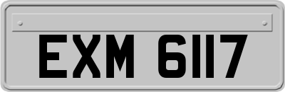 EXM6117