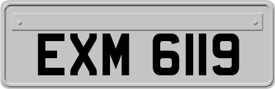 EXM6119