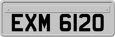 EXM6120