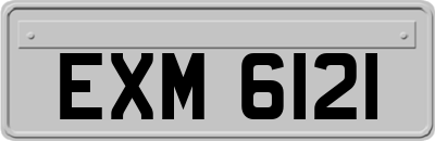 EXM6121