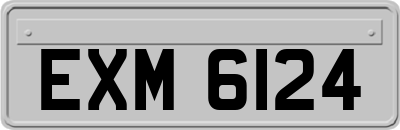 EXM6124