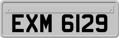 EXM6129