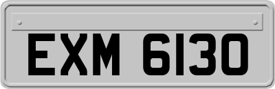 EXM6130