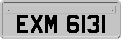 EXM6131
