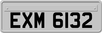EXM6132