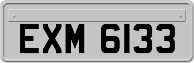 EXM6133
