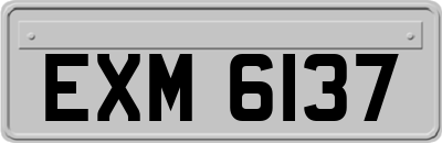 EXM6137