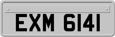 EXM6141