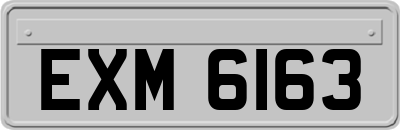 EXM6163
