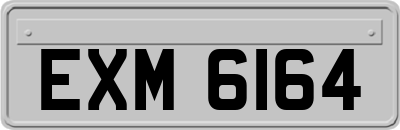 EXM6164
