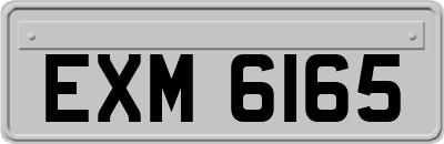 EXM6165