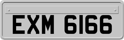 EXM6166