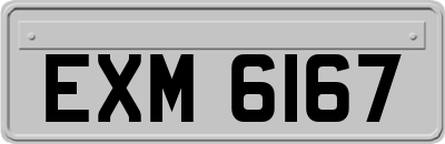 EXM6167