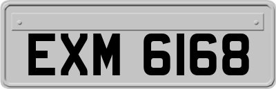 EXM6168