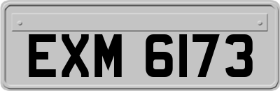 EXM6173
