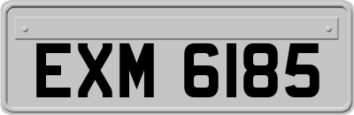 EXM6185