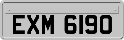 EXM6190