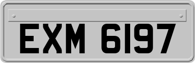 EXM6197