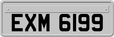 EXM6199