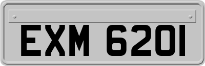 EXM6201