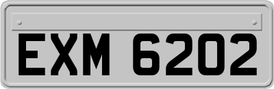 EXM6202