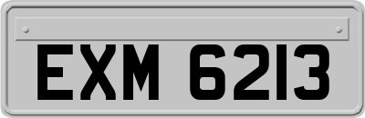 EXM6213