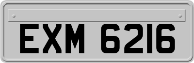 EXM6216