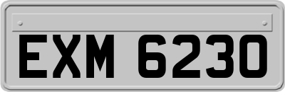 EXM6230