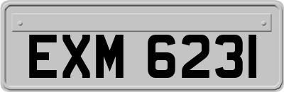 EXM6231