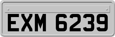 EXM6239