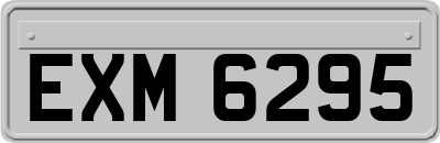 EXM6295