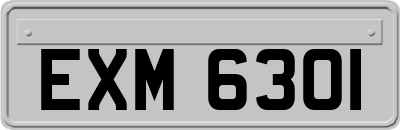 EXM6301