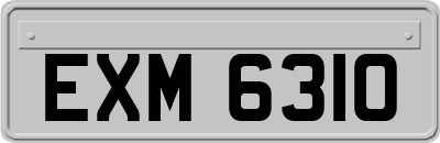 EXM6310