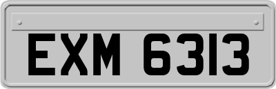 EXM6313