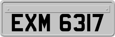 EXM6317
