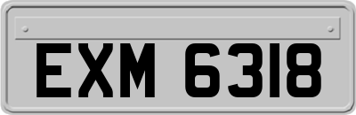 EXM6318