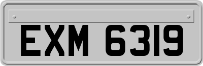EXM6319