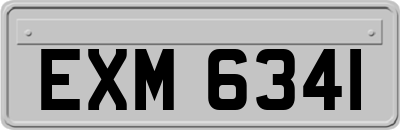 EXM6341