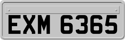 EXM6365