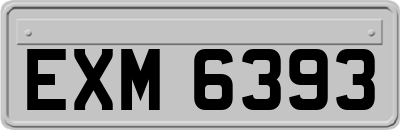 EXM6393