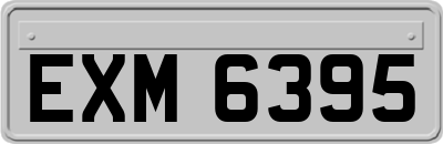 EXM6395