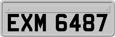 EXM6487
