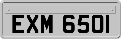 EXM6501