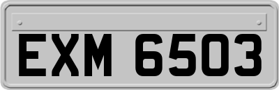 EXM6503