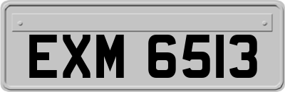 EXM6513