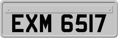 EXM6517