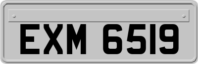 EXM6519