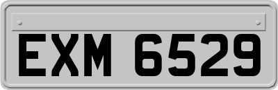 EXM6529